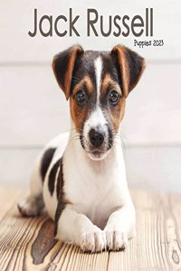 Jack Russell Puppies Mini Square Wall Calendar 2023