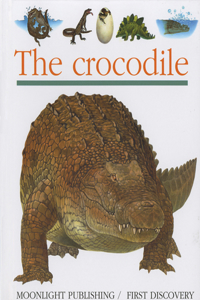 The Crocodile