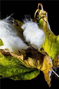 Blooming Cotton Journal