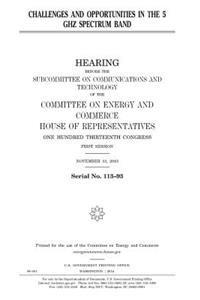 Challenges and opportunities in the 5 GHz spectrum band