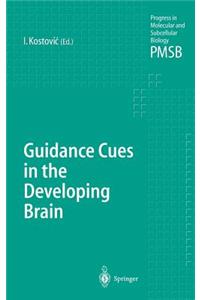 Guidance Cues in the Developing Brain