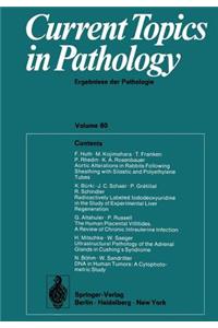 Current Topics in Pathology / Ergebnisse Der Pathologie