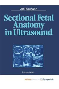 Sectional Fetal Anatomy in Ultrasound