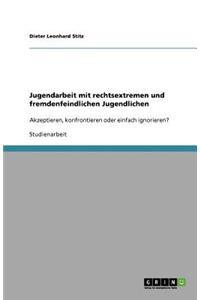 Jugendarbeit mit rechtsextremen und fremdenfeindlichen Jugendlichen
