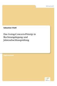 Das Going-Concern-Prinzip in Rechnungslegung und Jahresabschlussprüfung