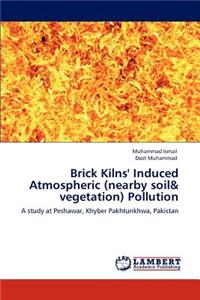 Brick Kilns' Induced Atmospheric (nearby soil & vegetation) Pollution