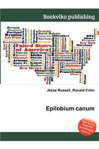 Epilobium Canum