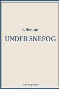 Under snefog