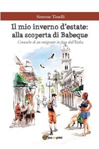 Il mio inverno d'estate