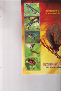 A MANUAL FOR THE STUDY OF INSECTS