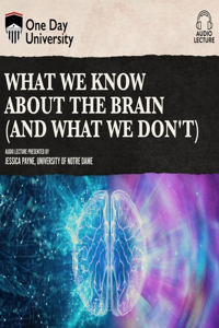 What We Know about the Brain (and What We Don't)