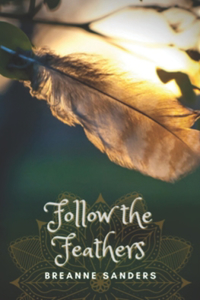 Follow the Feathers