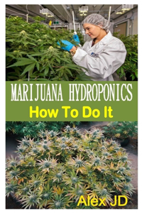 Marijuana Hydroponics How to Do It