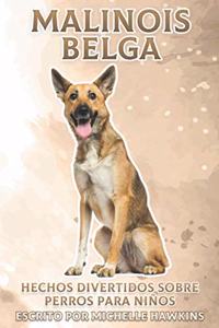 Malinois Belga