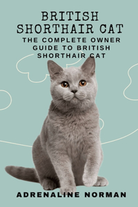 British shorthair cat