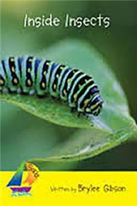 Inside Insects