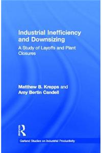 Industrial Inefficiency and Downsizing