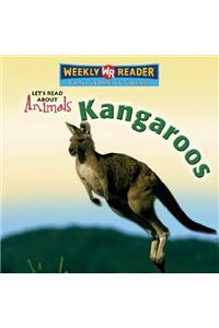 Kangaroos