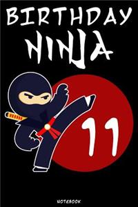 Birthday Ninja 11