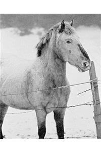 Horse Photo School Composition Book Equine Pony in Snowstorm