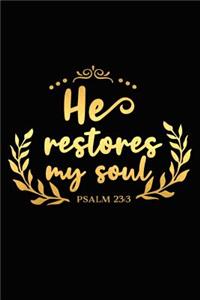 He Restores My Soul Psalm 23 3