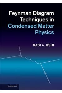 Feynman Diagram Techniques in Condensed Matter Physics