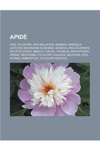 Apide: APIs, Xylocopa, APIs Mellifera, Bombus, Amegilla, Liste Des Bourdons Du Monde, Nomada, Enclos-Apiers En Cote D'Azur