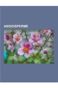 Angiosperme: Dicotiledoni, Monocotiledoni, Classificazione Apg II, Classificazione Apg III, Eudicotiledoni, Sistema Cronquist, Magn