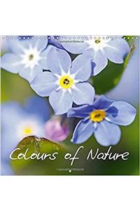 Colours of Nature 2017