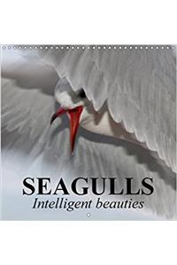 Seagulls Intelligent Beauties 2018