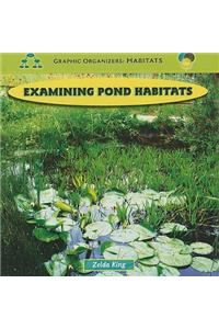 Examining Pond Habitats