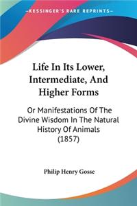 Life In Its Lower, Intermediate, And Higher Forms