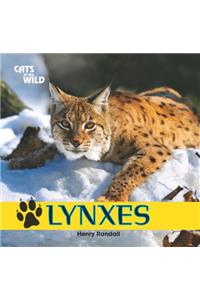 Lynxes
