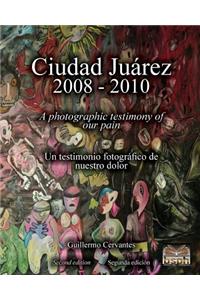 Ciudad Juárez 2008 - 2010