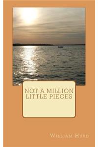 Not a million little pieces
