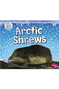 Arctic Shrews