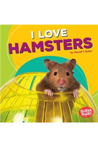 I Love Hamsters