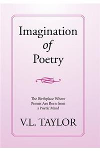 Imagination of Poetry