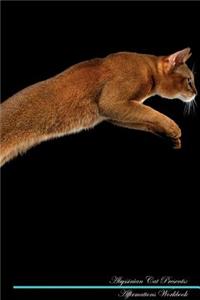 Abyssinian Cat Affirmations Workbook Abyssinian Cat Presents