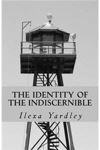 The Identity of the Indiscernible