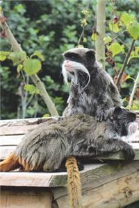 Emperor Tamarin Journal