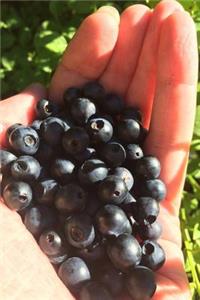 A Handful of Blueberries Fruit Journal