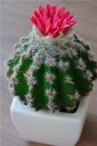 Blooming Cactus in a Pot Plant Journal
