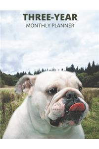 Three Year Monthly Planner Starting 2020 Agenda with Weekly Plan Space - Best Gift For Dog Owner - Funny Bulldog Appointment Book for 2021 & 2022