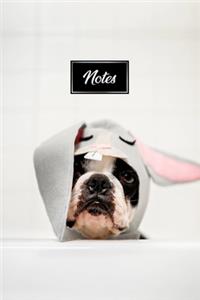 Boston Terrier Dog Pup Puppy Doggie Notebook Bullet Journal Diary Composition Book Notepad - No Rabbit