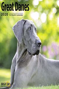 GREAT DANES WALL CALENDAR 2020