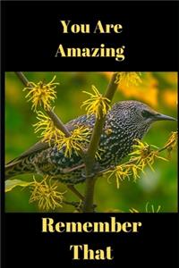 You Are Amazing Remember That
