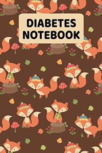 Diabetes Notebook