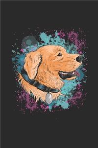 Labrador Color Splatter