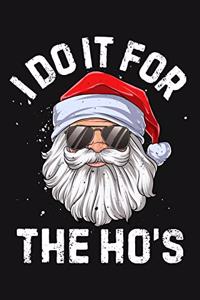 I Do It For The Hos